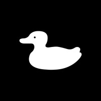 Sonduck logo - Similar company to Baseline, The Free Design Bootcamp