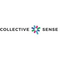 Collective Sense logo - Similar company to Defensive Security