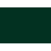 Chief Science Advisers Roundtable (CSAR) logo - Similar company to Institute Of Materials In Electrical Engineering 1