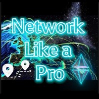 Network Like a Pro logo - Similar company to Sisters In Business