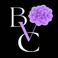 Black Violet Capital logo - Similar company to Heybor