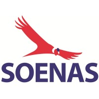 SOENAS Aviation Consulting logo - Similar company to Emser