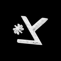 TSINNIST* Studio logo - Similar company to Piktogram