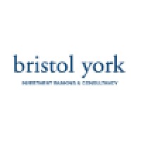 Bristol York Limited logo - Similar company to Cadre Advisory
