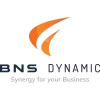 BNS Dynamic logo - Similar company to Typeflowai