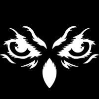Oyle logo - Similar company to Decidable