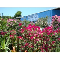 Naples Fertilizer & Garden Centers logo - Similar company to Bios Nutrients Inc.