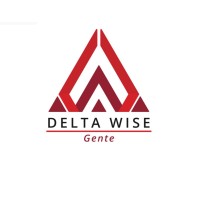 Delta Wise logo - Similar company to Comp Total Com E Importação De Componentes Eletronicos Eireli
