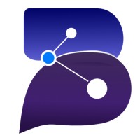 BRAINNEXA logo - Similar company to Ansh Infotech