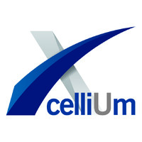Xcellium Consulting logo - Similar company to Ipmo Advisory Ag