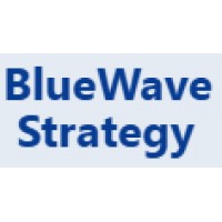 BlueWave Strategy logo - Similar company to 80/20 Media Inc