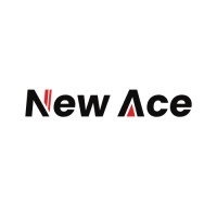 New Ace Viet Nam logo - Similar company to Center For Education And Development