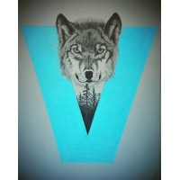 Volk Bikes