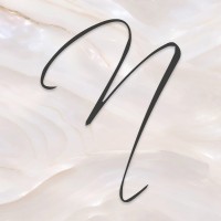 Noyan Clinic logo - Similar company to Melan Clinic