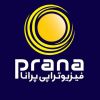 Prana Physiotherapy logo - Similar company to Appliance Guy Pro