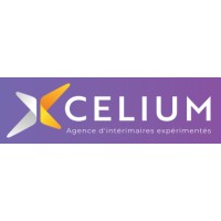Xcelium logo - Similar company to Excellium Rh Consulting