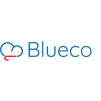 Blueco logo - Similar company to Bluerise Bv