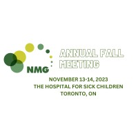 NMG logo - Similar company to Nmg Digital