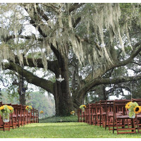 A Whitehouse Wedding, LLC logo - Similar company to What A Wedding