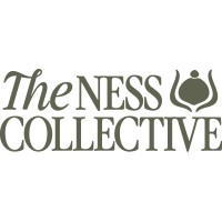 The Ness Collective logo - Similar company to The Brad And Ashley Stuver Foundation