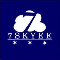 7Skyee (Placement) Consultancy Private limited logo - Similar company to Hr Planning Network