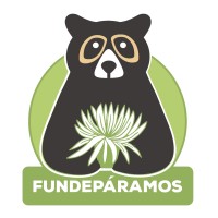 Fundeparamos ONG logo - Similar company to Fundacom Ong