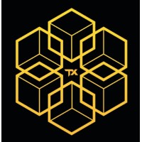 TechXile Limited logo - Similar company to Infyra Solutions