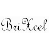 BRIXCEL, Inc. logo - Similar company to Brixel