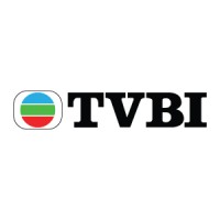 TVBI Company Limited logo - Similar company to Dundum Solutions Group