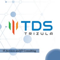 Trizula Digital Solutions Pvt Ltd logo - Similar company to Carbynetech