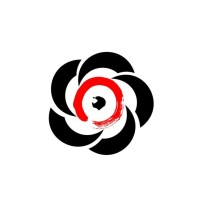 Romanian Aikikai Aikido Foundation