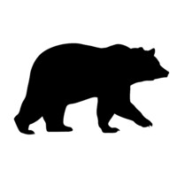 BlackBear Capital logo - Similar company to Wing 2 Wing Ventures