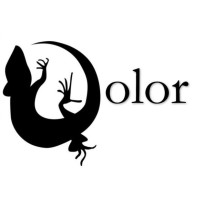 Dolor Consulting logo - Similar company to Minerva