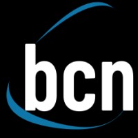 Business Consulting Network logo - Similar company to Rabit Consulting