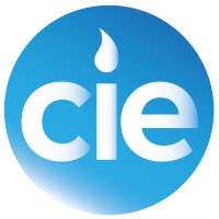 Conservatives in Energy logo - Similar company to Oxonians For Hague