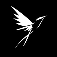 Hummingbirds Cyber Team logo - Similar company to Zalisoft
