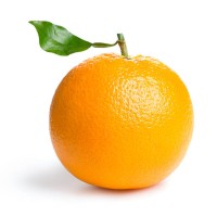 Donaghy Orange Ltd