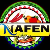 Nafen logo - Similar company to Sonalim Sa