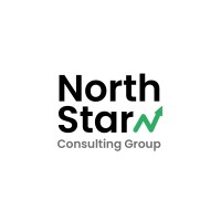 North Star Consulting Group logo - Similar company to Goa Prime
