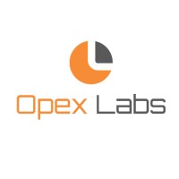 OpexLabs logo - Similar company to Dnaskew Analytics Private Limited