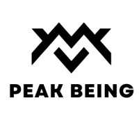 Peak Being logo - Similar company to Transpose Technologies Inc.