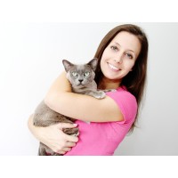 Higham Vets