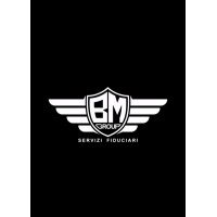 BM GROUP logo - Similar company to Evergreen Srl