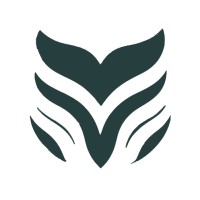 WISE WAVES logo - Similar company to Isibrix | Sistemi Costruttivi Modulari In Legno Per Case E Soppalchi