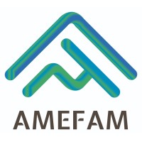 AMEFAM logo - Similar company to Weservmx