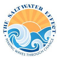 The Saltwater Effect logo - Similar company to Back Bay Storitel