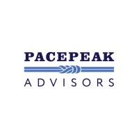 PacePeak Advisors logo - Similar company to 90 Minds