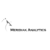 Meridian Analytics logo - Similar company to More Than Data