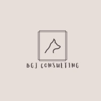 Bgj Consulting Llc