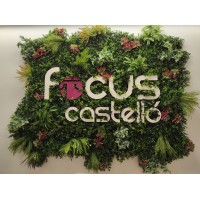 Focus Castelló logo - Similar company to Gesmar | Gestión & Marketing.
